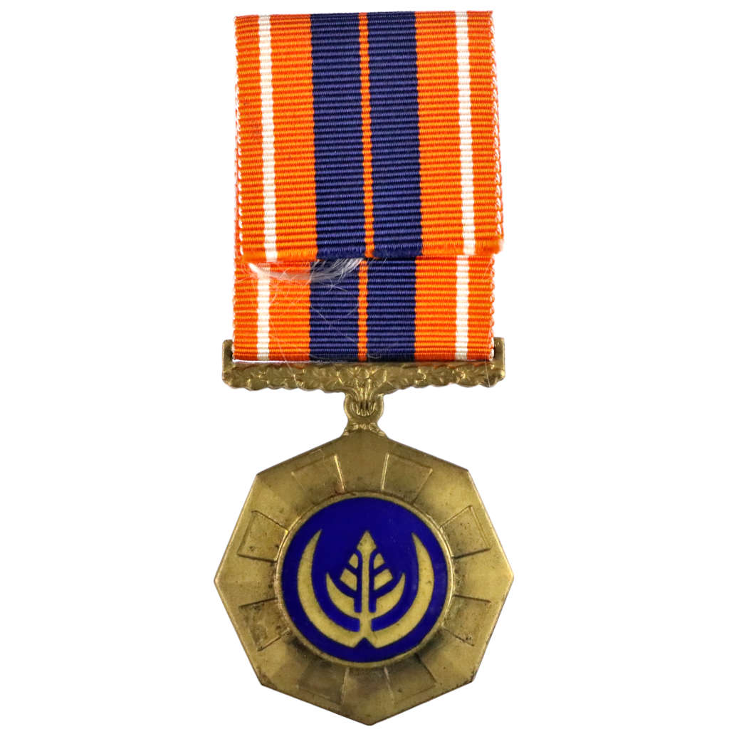 SADF & SANDF Full Size Pro Patria South African Defence Force Medal